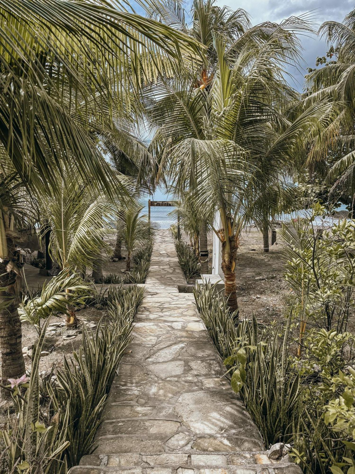 Nimbu Beachhouse Transito Buitenkant foto