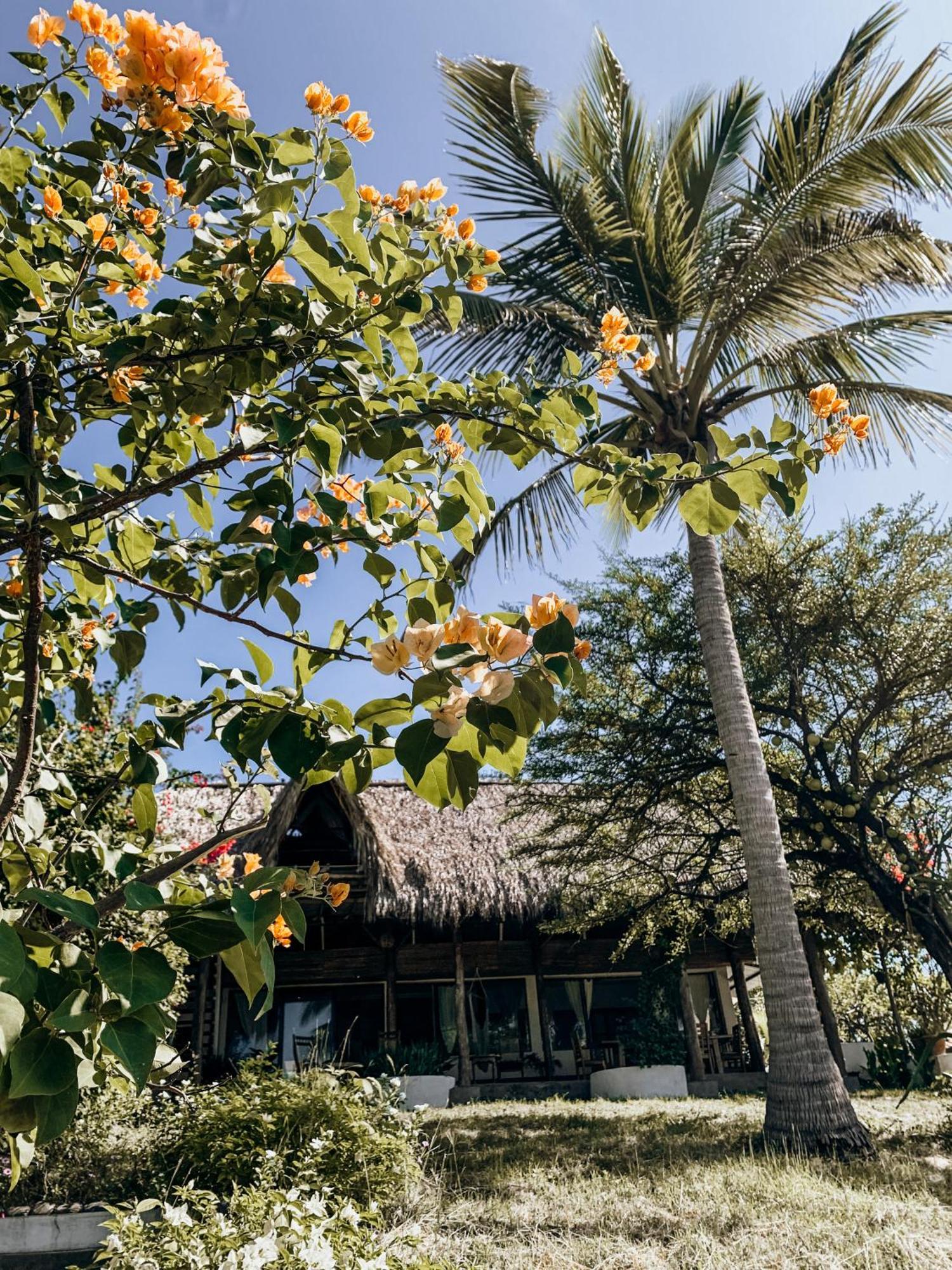 Nimbu Beachhouse Transito Buitenkant foto